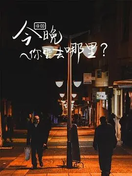 今晚你要去哪里海报