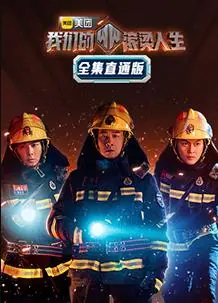 我们的滚烫人生全集直通版海报