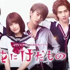 花予野兽第一季海报