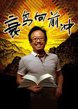 衰鸟向前冲海报