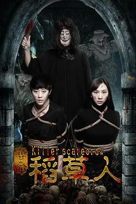 夺命稻草人海报