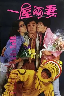 一屋两妻(国语)海报