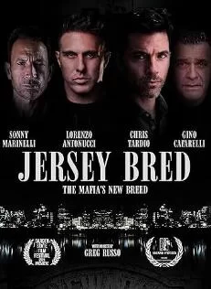 新一代黑手党海报