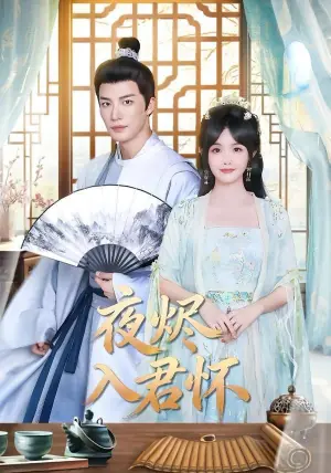 夜烬入君怀海报