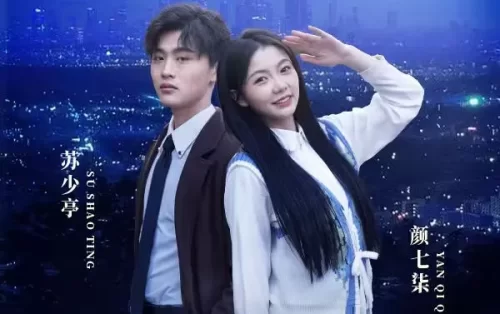 昨夜星辰昨夜风海报