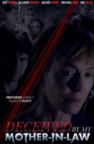 被婆婆骗了海报