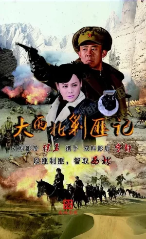 大西北剿匪记海报