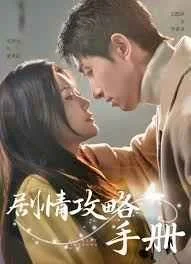 剧情攻略手册海报