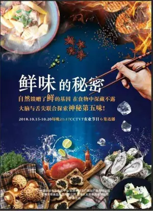 鲜味的秘密海报
