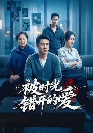 被时光错开的爱海报