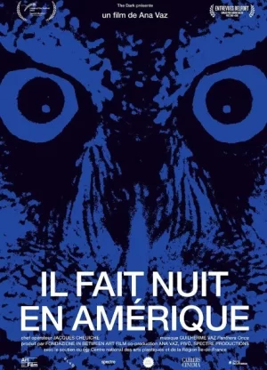 美洲夜降临海报