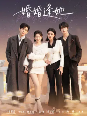 婚婚逢她未删减版海报