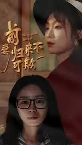 前妻归来不可欺海报