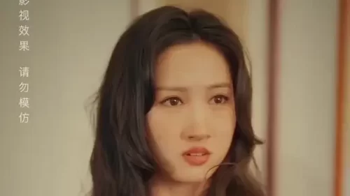 回档人生之1991张扬海报