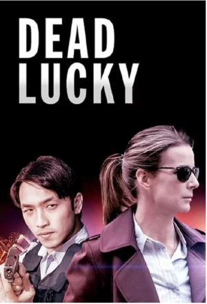 侥幸第一季海报