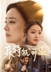 亲待犹可追海报