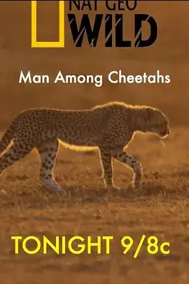 ManAmongCheetahs海报