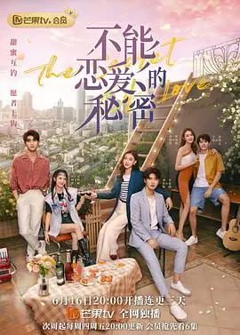 不能恋爱的秘密(越南语版)海报
