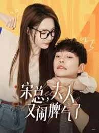 宋总,夫人又闹脾气了海报
