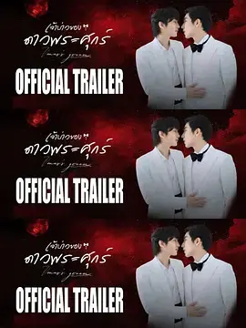 维纳斯的新郎海报