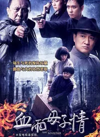 血雨母子情海报