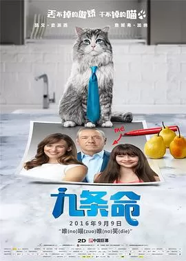 九条命(英语)海报