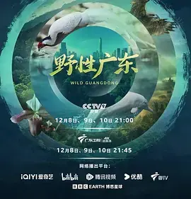 野性广东海报