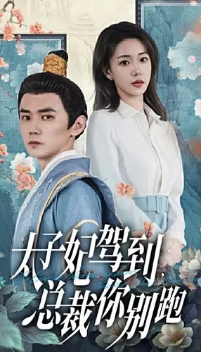 太子妃驾到,总裁你别跑海报