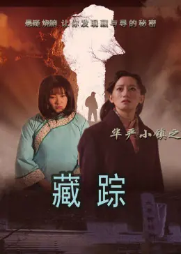 华严小镇之二藏踪海报