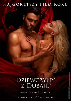 迪拜女孩[影视解说]海报