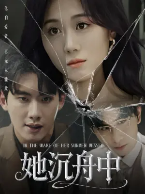 她沉舟中海报