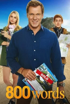 800字第一季海报