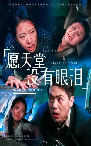 愿天堂没有眼泪海报