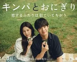 紫菜包饭和饭团相爱的两个人相似又不一样海报