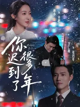 你迟到了很多年海报