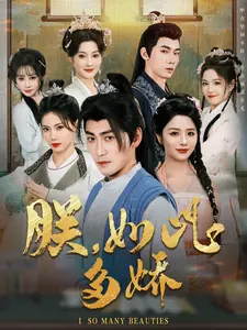 朕,如此多娇海报