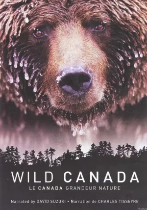 野性加拿大海报