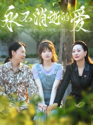 永不消逝的爱海报
