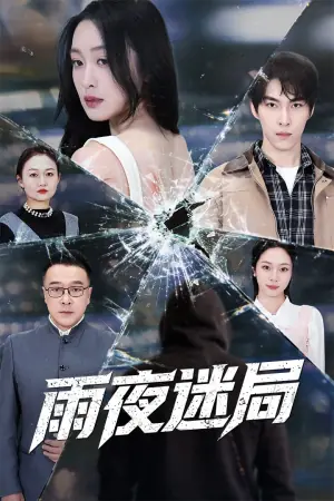 雨夜迷局海报