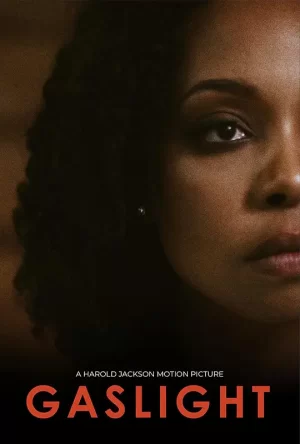 煤气灯效应海报