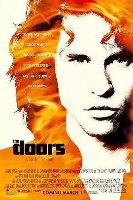 大门TheDoors海报