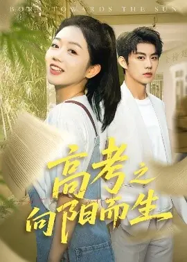 高考之向阳而生海报