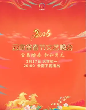 2026春节晚会-2026云南省春节文艺晚会海报