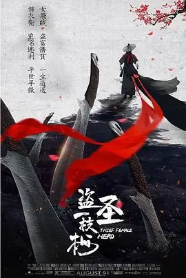 盗圣一枝梅海报