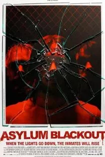 疯人院事件海报