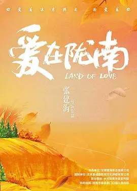 爱在陇南海报