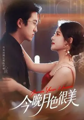 今晚月色很美海报