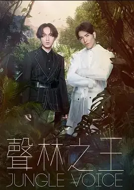 声林之王海报