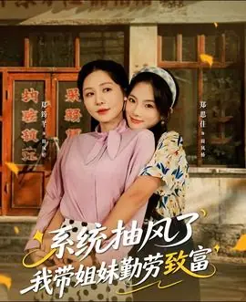 系统抽风了我带姐妹勤劳致富海报