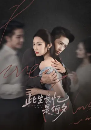 此生长忆是何夕海报